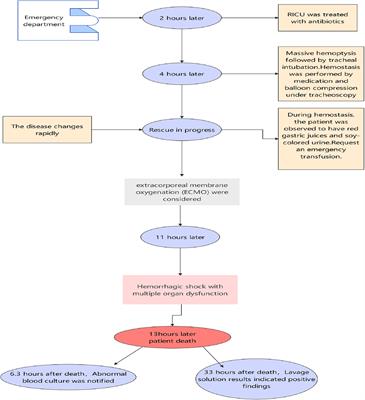 A 26-year-old man with multiple organ failure caused by Aeromonas dhakensis infection: a case report and literature review